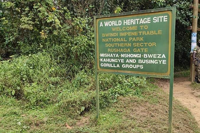 Bwindi Impenetrable National Park, one of Uganda’s UNESCO World Heritage Sites